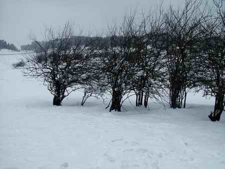 <em>武隆仙女山冰雪节</em> - 中国户外网