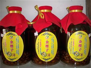 金樱子酒+-+中国户外网